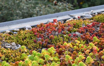 the cost of Upper North Dean green roof installation